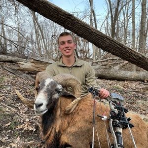 Meet your Posher, Dylan